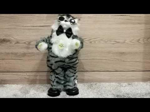 Видео: Поющий и танцующий кот . Поет 18 песен.