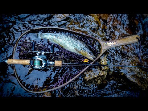 Видео: На стрим с новым комплектом: Tailwalk troutia feerique C49L/G & Shimano aldebaran 16.