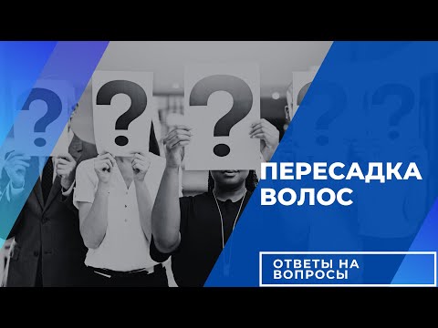 Видео: Пересадка волос: ответы на ваши главные вопросы