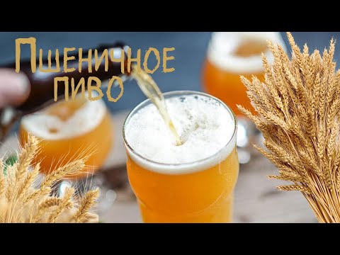 Видео: Пшеничное пиво это легко.