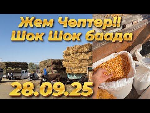 Видео: ШОК! Жем менен чөптүн баасы 28.09.25тө күтүлбөгөндөй өзгөрдү 🌾💰 | Фермерлерди таң калтырган баалар