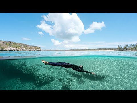 Видео: Фридайвинг как способ путешествовать. Выступление Алексея Молчанова на Moscow Dive Show 2023