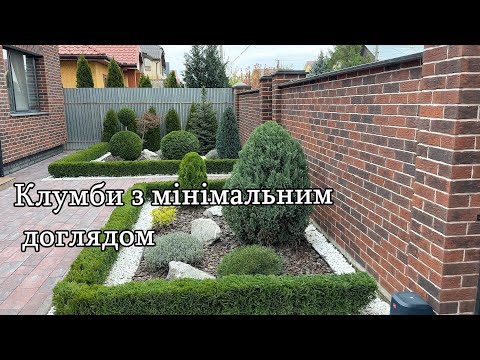 Видео: Клумби для зайнятих. Маловитратна клумба