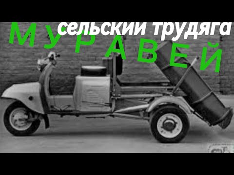 Видео: МОТОРОЛЕР МУРАВЕЙ краткий обзор.