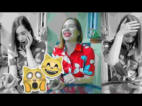 Видео: ЛОЖЬ И ПРАВДА О ЧЕХИИ И ЧЕШСКОМ | РЕАКЦИЯ НА КОММЕНТАРИИ