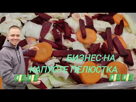 Видео: Решили заработать денег 💵 приготовили капусту пелюстка.