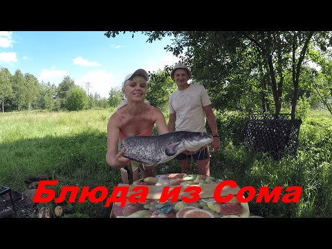 Видео: КУПИЛ ХУТОР в ЛЕСУ на краю БОЛОТА. Часть 54. Шашлык и Уха из Сома. Урожай 2020