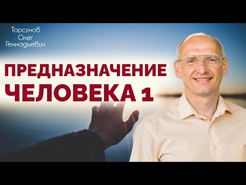 Видео: Предназначение человека. Часть 1  Торсунов О. Г. Бельгия 2014