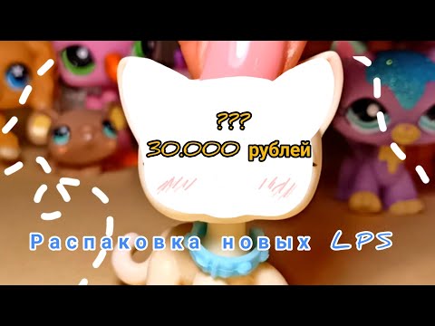 Видео: LPS: распаковка и ОБЗОР новинок! | 30.000 рублей? Или самый ДОРОГОЙ обзор на канале ~