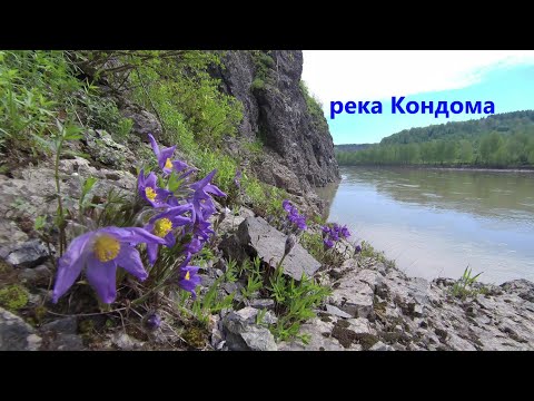 Видео: Кондома сплав с Мундыбаша 21г