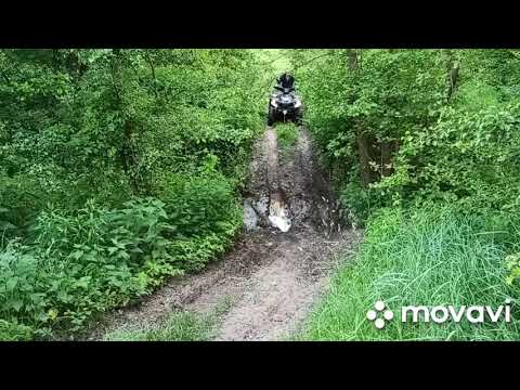 Видео: Linhay 300. Покатухи