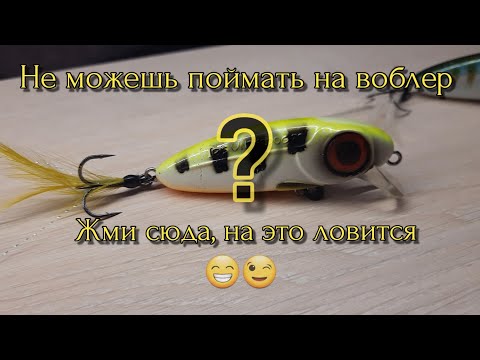 Видео: ВОБЛЕРЫ КОТОРЫЕ ЛОВЯТ ВСЕ? КОНЕЧНО ЕСТЬ, НОВИЧОК? ЖМИ СЮДА))