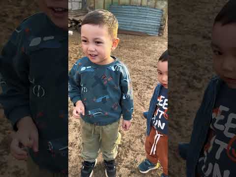 Видео: Төлеген Әлинұр