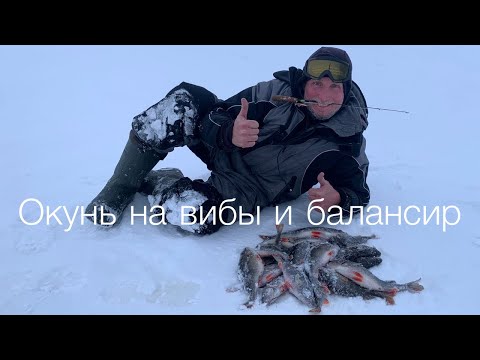 Видео: Окунь на вибы и балансиры | Новогодние каникулы на рыбинке 2022