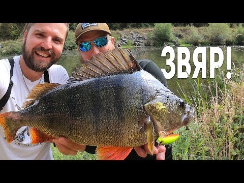 Видео: ЧУДОВИЩЕН КОСТУР!!! Мъртво пиян човек на пътя! Риболов на кефал, щука на река Искър / ЛИЧЕН РЕКОРД!