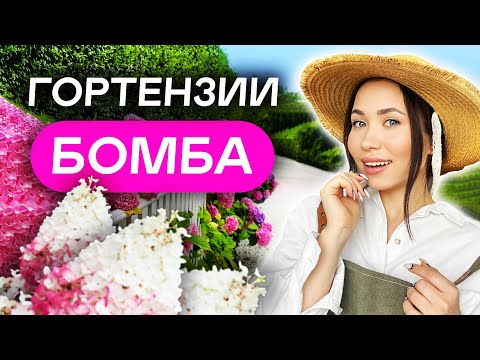 Видео: 15 САМЫХ НЕПРИХОТЛИВЫХ гортензий для 6 соток