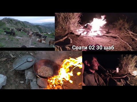 Видео: Бехтарин табиат буз дар кух бачадор шид Кисми 2 давомашро худат бубин Сайёд Вахдат