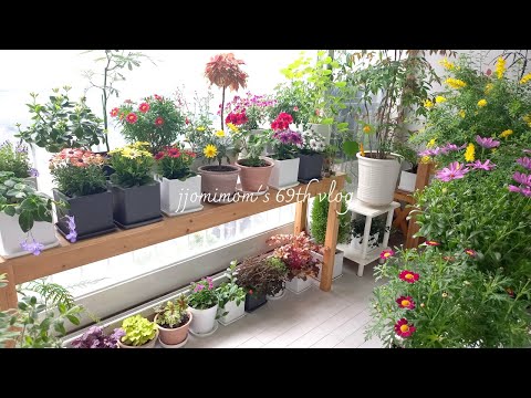 Видео: Исцеляющее видео / Сад на веранде в апреле, полный цветов