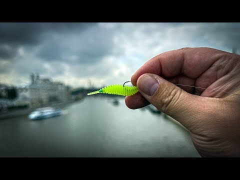 Видео: ЛОВИТ ПРИ ЛЮБОЙ ПОГОДЕ! РЫБАЛКА НА СПИННИНГ В ЦЕНТРЕ МОСКВЫ