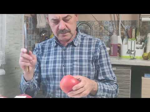 Видео: Обзор зимних сортов яблок на 09 декабря 2024г.