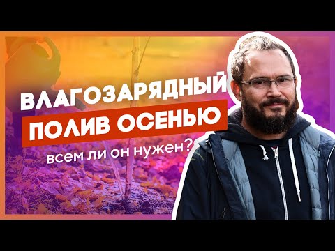 Видео: Влагозарядный полив. Узнайте, нужен ли он вам. Обработка сада осенью