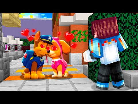 Видео: СЛІДКУЮ ЗА ПОБАЧЕННЯМ СКАЙ ТА ГОНЩИКА ЩЕНЯЧИЙ ПАТРУЛЬ В МАЙНКРАФТІ