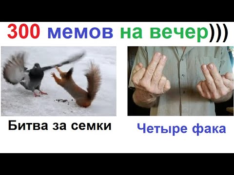 Видео: 300 МЕМОВ. Мега подборка лютых приколов #приколы  #юмор