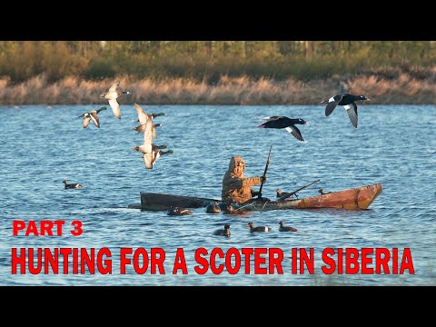 Видео: ОХОТА НА ТУРПАНА В ЯКУТИИ 2021. КОЛЫМА.3 СЕРИЯ