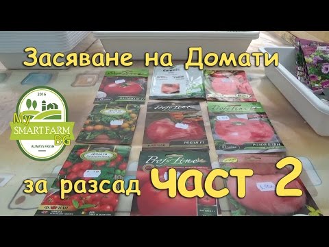 Видео: Засяване на Домати за разсад част 2. - 26.02.2017 Г.