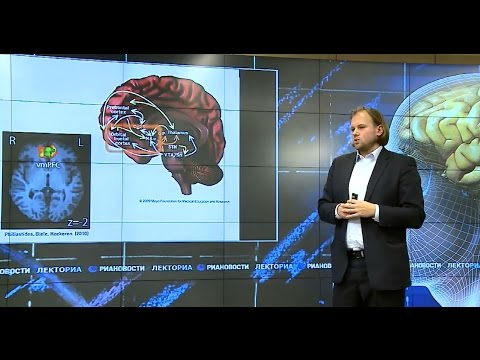Видео: Хауке Хеекерен - Нейроэкономика, или Как мы принимаем решения?