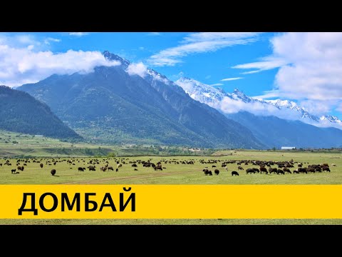 Видео: ❪4K❫ ДОМБАЙ 2024 — самые красивые горы Кавказа. Мусса-Ачитара. Перевал Гумбаши. Тебердинский нацпарк