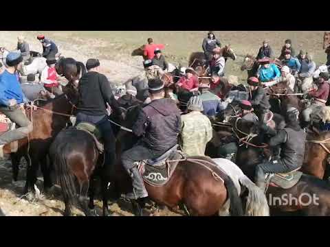 Видео: Аламан Улак // Кадамжай р-ну Кок-Талаа айылы // Баш байге Тай 🐴