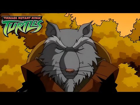 Видео: TMNT 2003 - Прохождение за мастера Сплинтера (на русском языке)
