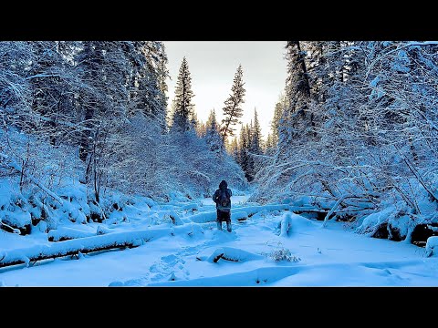 Видео: НЕВЕДОМЫЕ ДОРОЖКИ ОТШЕЛЬНИКА (30 лет одиночества 109 серия)