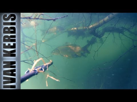 Видео: Отвал башки!😵 Подводная охота на Красноярском водохранилище, открытие сезона 2018🐟.