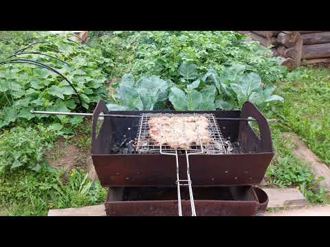 Видео: Готовим шашлык. Гуляем по огороду. Мои лимоны. 10.08.24