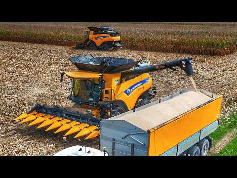 Видео: УРОЖАЙ КУКУРУЗЫ 2024 2X NEW HOLLAND CR REVELATION