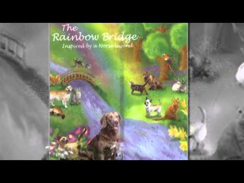 Видео: МОСТ РАДУГИ последняя версия