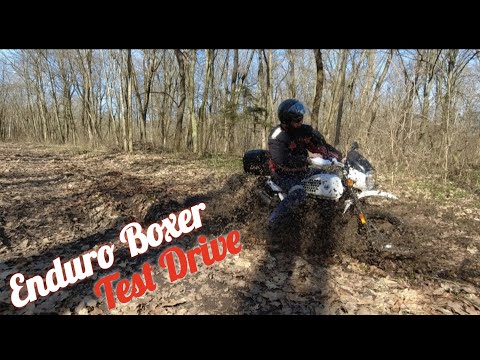 Видео: Тест-драйв "Злого Боксера"🏍️ Бездоріжжя, болото, ліс