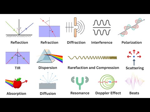 Видео: Объяснение всех волновых явлений за 14 минут