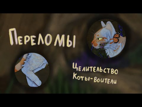 Видео: Переломы | Целительство | Коты-воители | WC:UE