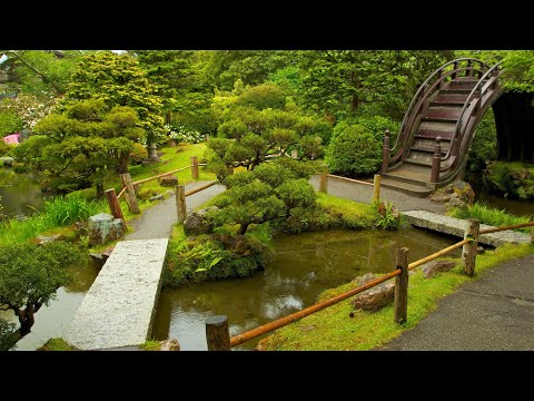 Видео: Японский Парк 4К HDR