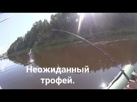 Видео: Я думал катушка расплавится .Неожиданный трофей .