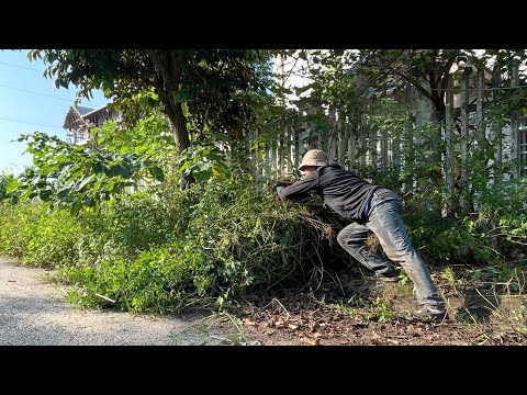 Видео: Шокирующий Запах За Стеной—Смотрите, Как Мы Очистили и Убрали Гниль
