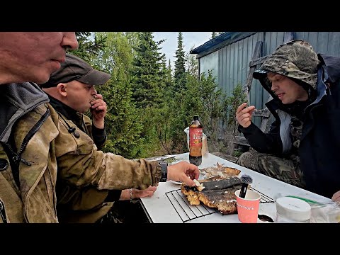 Видео: приехали на избу! самый вкусный ужин на костре!
