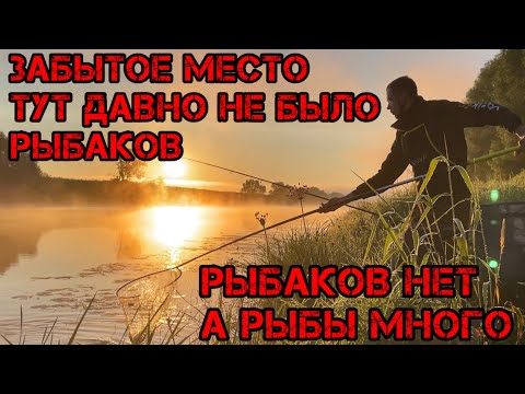 Видео: ЗАБЫТОЕ ДИКОЕ МЕСТО РЫБАКОВ давно НЕ БЫЛО ТУТ а РЫБЫ МНОГО