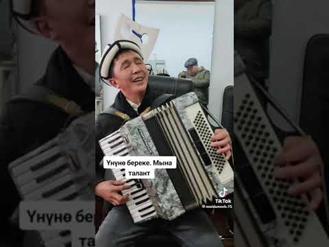 Видео: Куйдум чок Жениш Акын