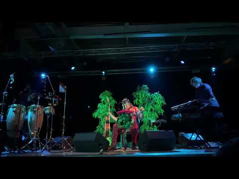 Видео: 01 - Не Выходи за Дверь, Борис Гребенщиков. Бровары, 22.10.2020