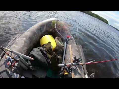 Видео: Рыбалка Даугава