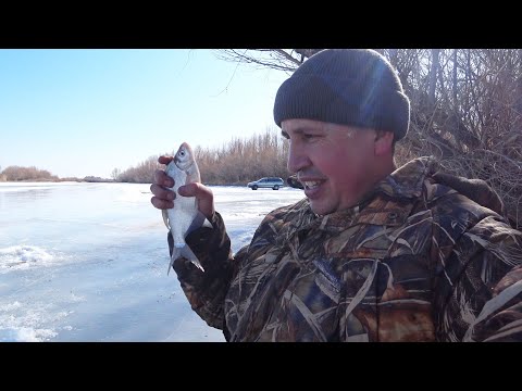 Видео: Каратал! Зимняя рыбалка Лещи //  рыбалка2024 # Каратал # зимняярыбалка